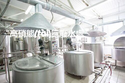“高硝態(tài)氮廢水處理，綠色環(huán)保新篇章”